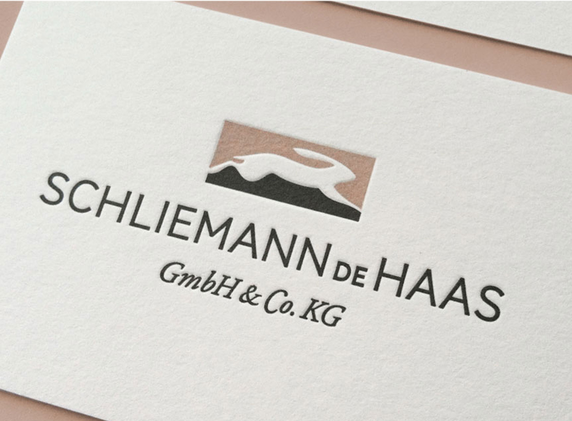 Schliemann de Haas
